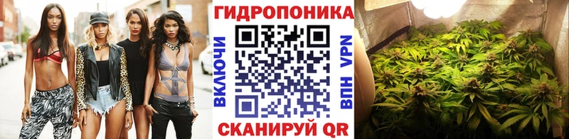 Бошки марихуана ГИДРОПОН  МЕГА рабочий сайт  Высоцк  дарнет шоп 